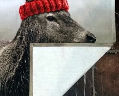 Bedrukte theedoek met foto, detail